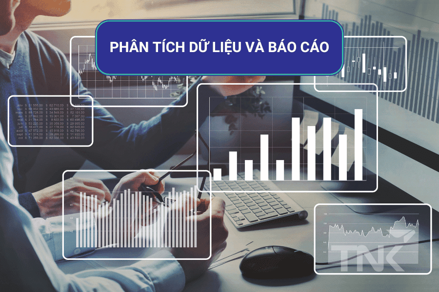 Phân tích dữ liệu và báo cáo