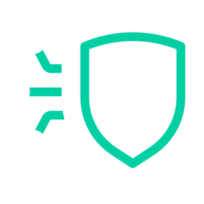 Icon data